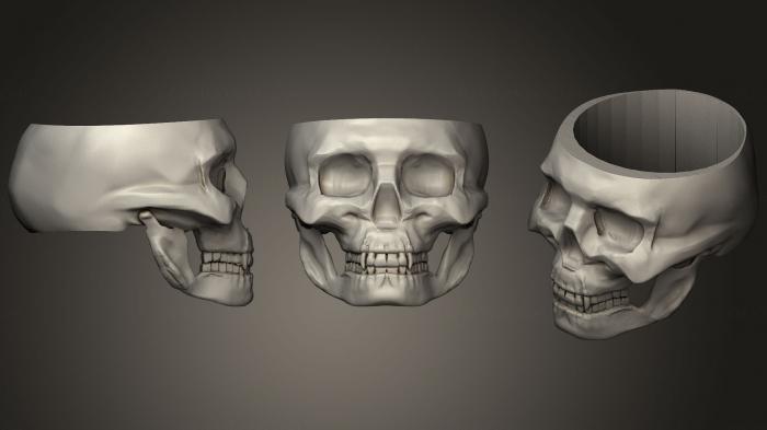 Anatomy of skeletons and skulls (ANTM_0917) 3D model for CNC machine